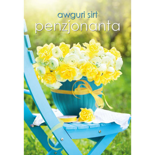 Picture of AWGURI SIRT PENZJONANTA KARTOLINA